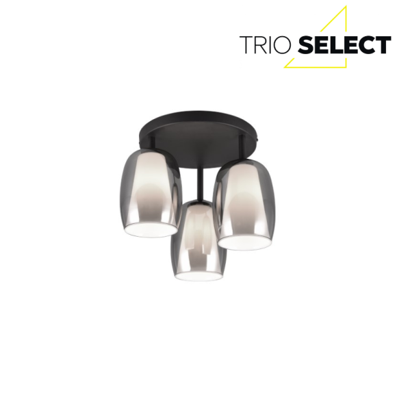 Trio SELECT 617500354  Deckenleuchte BARRET  E14